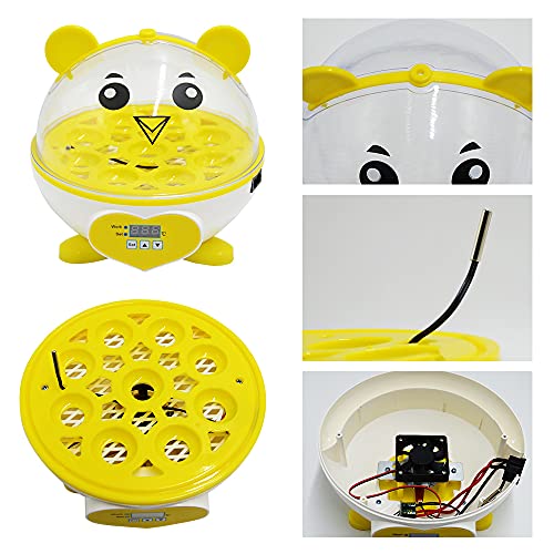 PAIDUOJI Home Use Incubator Automatische Temperaturregelung Digitale Mini Ei Schlüpfen Automatische Temperaturregelung… – Bild 6