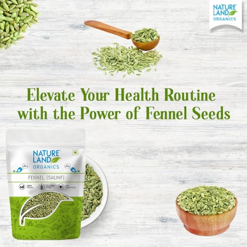 Image of Natureland Organics Fennel (Saunf) 100 gm - Organic Saunf (Pack of 3)