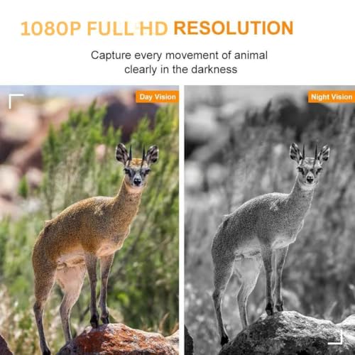 Image of T8 4K Trail Camera 48MP with FHD Video, 0.7s Trigger Speed, 60 Wide Angle, Night Vision with Black IR, IP68 Waterproof, TF Card Support up to 256GB for Wildlife Monitoring, Farm Security