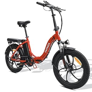 Fafrees F20 [Officieel] Fatbike elektrische fiets heren 20 inch met 36 V/15 Ah accu, elektrische fiets inklapbaar 250 W…