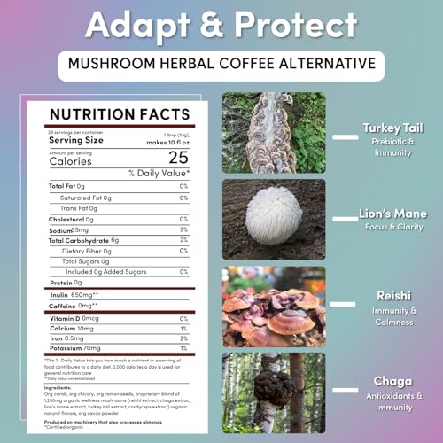 Teeccino Miraculous Mushrooms Adapt & Protect