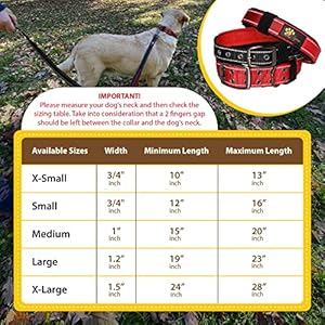 ADITYNA Ultra Comfortable Soft Neoprene Padded Dog Collar for Small Dogs