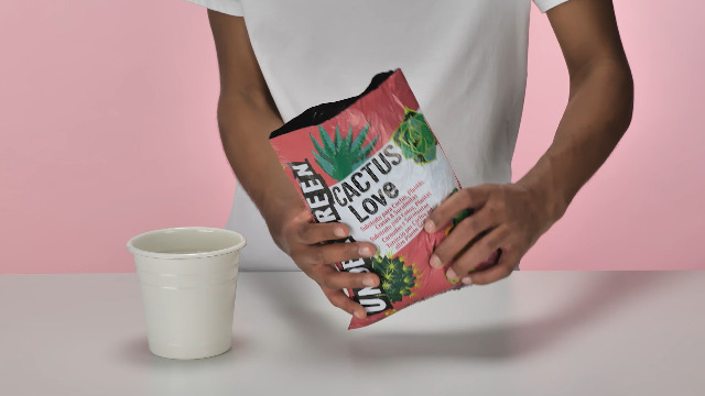 Terriccio Per Cactus E Piante Grasse - 2.5L, Biologico, Con Nutrienti - Foto 2