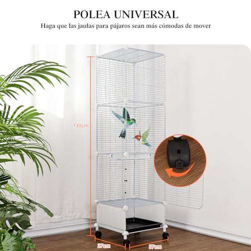 Review de Periquitos los 10 mejores. 15 Imagen adicional