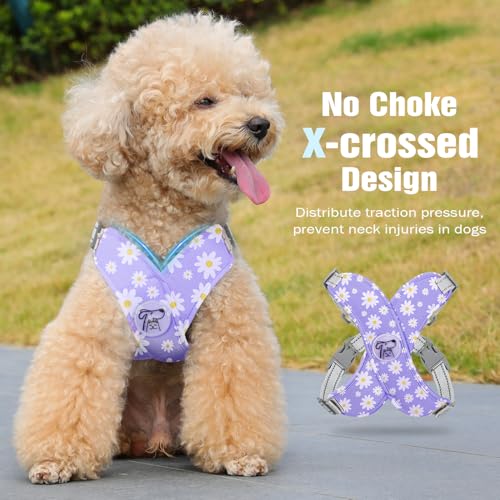 Pawaboo Hundegeschirr mit Hundeleine Set, X-Rahmen Verstellbares Anti Zug Anti-Erstickung Hund Brustgeschirr für Kleine, Mittelgroße Hunde & Welpen, Hundeweste mit Leine, S, Violette Gänseblume