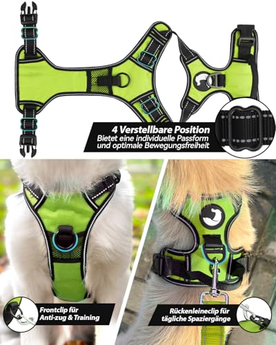 Joytale Hundegeschirr mittelgroße Hunde, reflektierendes Geschirr Hund,luftdurchlässige Hundegeschirr, verstellbares Brustgeschirr mit Griff beim Führen und Training, Grün, M