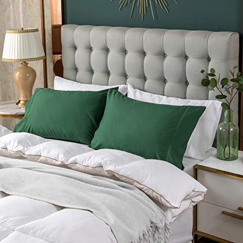 Goleto 100% Brushed Microfiber Pillowcases Set Of 4, Super Soft And Cozy, Wrinkle, Fade, Stain Resistant With Envelope Closure Pillow Cases, (King 20X40, Green) #TOP3
