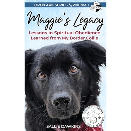 Maggie's Legacy by Open Ark Books, Sallie Dawkins, Firebrand United episode artwork
