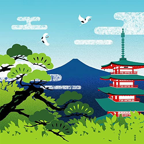 _l GziC~ 50cmj  ܏d xmR