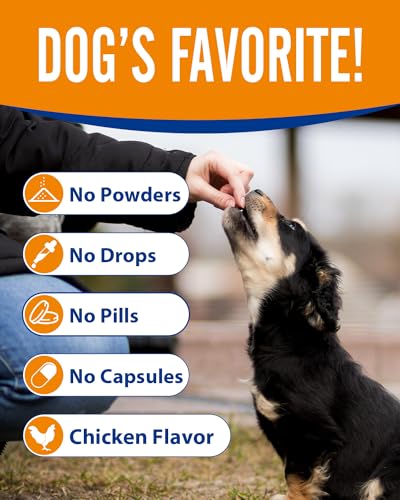 Gelenksnacks für Hunde - 120 Gelenk- & Knochenschutz für Hunde - mit Glucosamin, Chondroitin & MSM - bei Knochen & Beweglichkeit - Geschmack Huhn