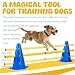 Imagen de SKJJM Agility Set Perros Barreras