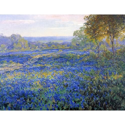 Poster Fields of Bluebonnets ARTICULOZY 40x50cm pour une Chambre Apaisante