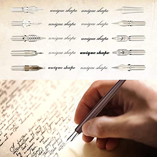 Hohuhu HO-Q-301 Hhhouu Calligraphy Set For Beginners Quill Pen And Ink Set Fancy Pens thumb #4