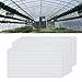 Produktbild NAIZY 14x Polycarbonat Hohlkammerstegplatten, 4mm | 10,25 m² Doppelstegplatte für Gewächshaus Garten Treibhaus Ersatzplatten (60.5 x 121cm) - Transparent