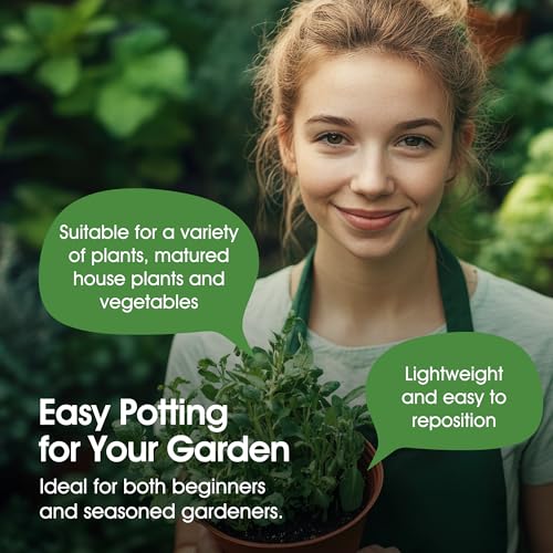 Whitefurze G04126 Garden Pot Saucer for 31cm Pot - Terracotta - Image 2