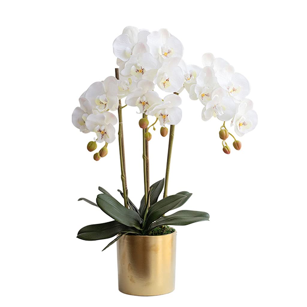 Flores Artificiales Ramo de Phalaenopsis con jarrón, Manualidades de plástico, Ideal para Sala de Estar, Fiestas, Bodas, decoración de ofici