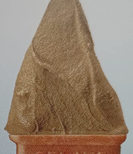 beACX CWF[g ԓE݂ق 2L×4o ACX~N