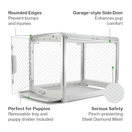 Diggs Revol Dog Crate (Collapsible Dog Crate, Portable Dog Crate, Travel Dog Crate, Dog Kennel) for Large Dogs and Puppies (Ash) Diggs Revol Dog Crate (Collapsible Dog Crate, Portable Dog Crate, Travel Dog Crate, Dog Kennel) for Large Dogs and Puppies (Ash)