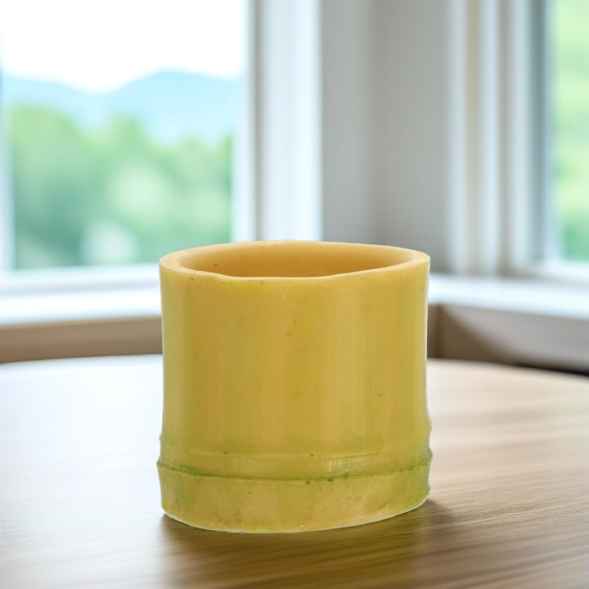 GALPADA 2Pcs Reptile Water Basin Durable Resin Water Container for Scorpion Gecko Lizard and Stable Design for Pet Feeding