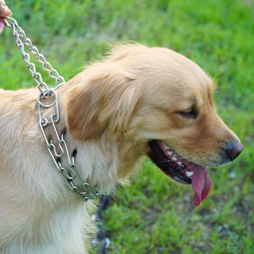 Dog Prong Collar, Adjustable Stainless Steel Pinch Collar Links, Training Collar Quick Release No-Choke Chrome-Plated… - Image 5