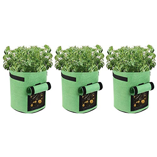 Mintice 3 Pack Plant Grow Bag Vegetable Planting Growing Bag Fabric Visualized Window Planter Container Pots Reusable Home Garden for Potato, Tomato, Carrot 10 Gallon Green