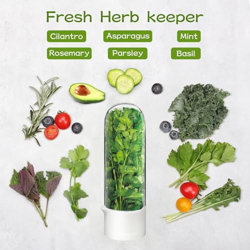 Image of Herb Keeper for Refrigerator, Fresh Herb Storage Container with Clear Dome, Keeps Cilantro Mint Parsley Asparagus Fresh 2-3 Weeks, 9.65 Inch, White, 1 Pack