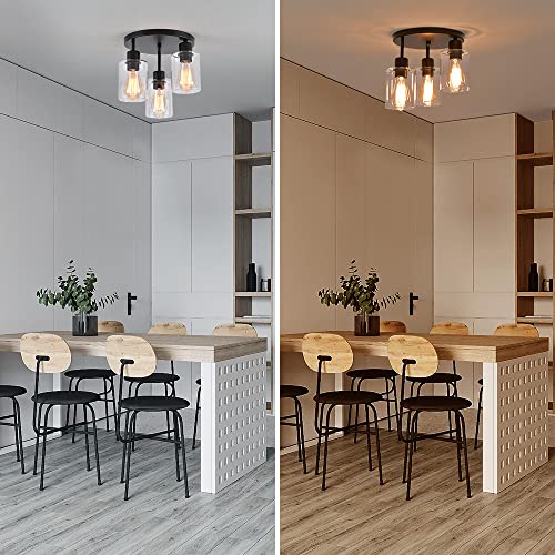 image for IHENGYANLT 3-Light Industrial Farmhouse Black Matte Light Fixtures Cei