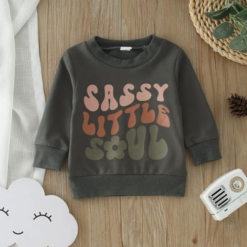 Boys and Toddlers' Fleece Hoodie Sweatshirt Toddler Boys Girls Long Sleeve Letter Prints T Shirt Lightweight3