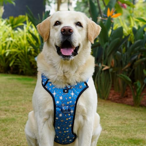 Image of Nebula Nights No-Pull Dog Harness, L (21-30kg, 23-30 inch)