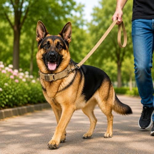 Image of Tactical Dog Collar and Leash Set,Khaki
