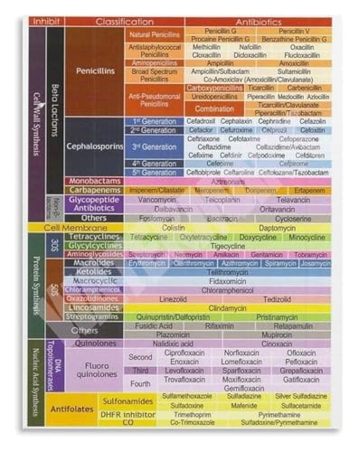 Student Poster Antibiotic Classes Chart Pharmacology Educational Wall-Art for School Hospital Office Decor(Framed,08x12inch(20x3