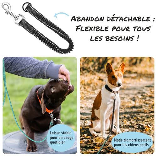 Aystkniet Schleppleine 3M 5M 10M 15M 20M 30M Hundeleine mit Abnehmbare Elastische Kordel | Abschließbarer Haken | Gepolsterter Griff, Langlaufleine Trainingsleine für Mittlere Große Hunde