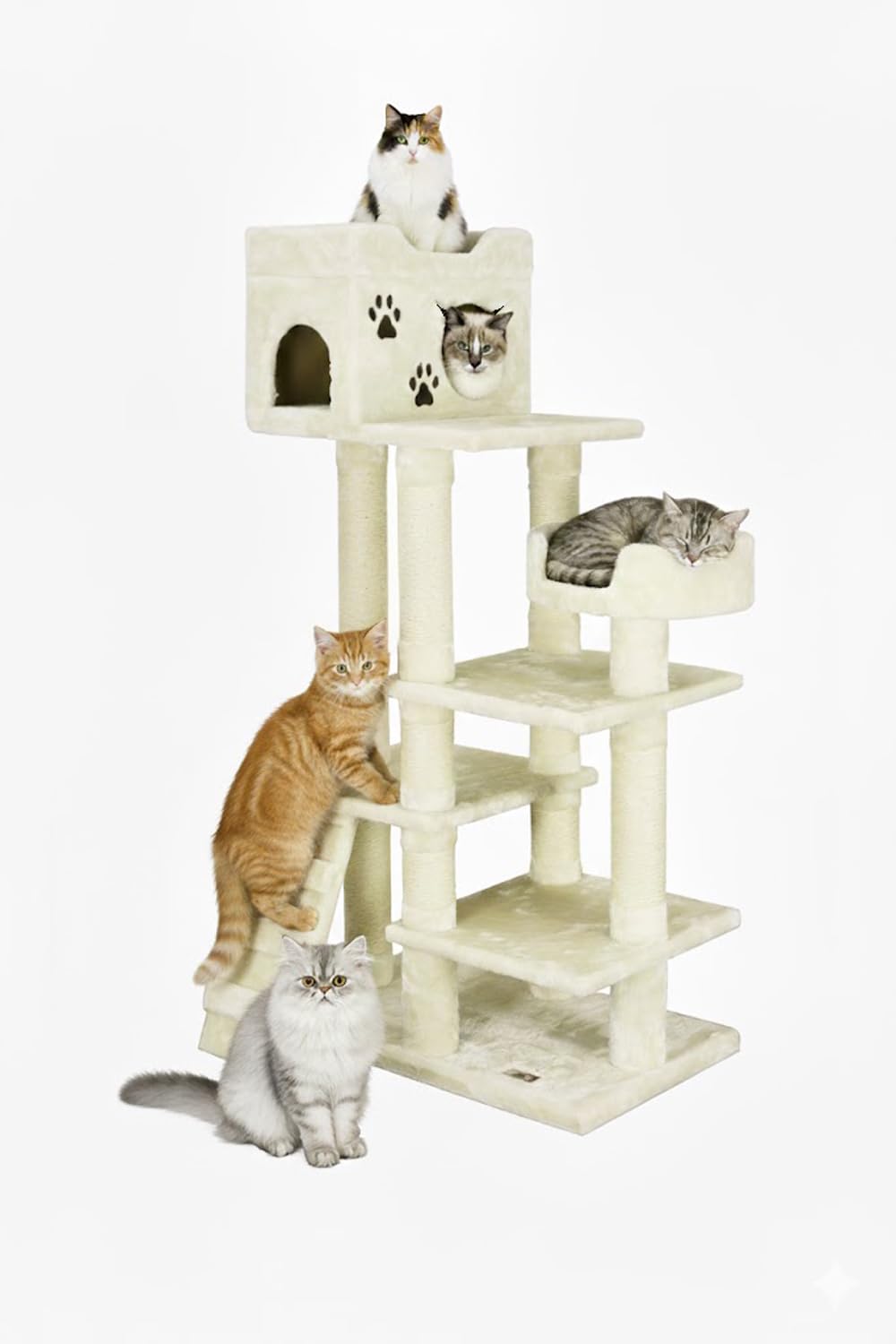 Amazon | キャットタワー 据え置き 低段差 高齢シニア・子猫対応 CW