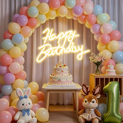 FARNY Happy Birthday Neon Sign for Wall Decor LED Happy Birthday Light Up Sign Dimmable LED Birthday Neon Light for Birthday Party Decorations Backdrop Warm White 16.5x 12
