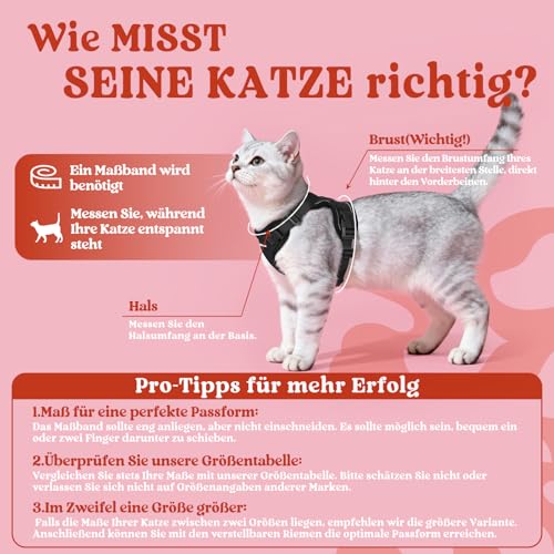 rabbitgoo Katzengeschirr mit Leine Softgeschirr für Katze Brustgeschirr Cat Harness Katzengarnitur Ausbruchsicher Verstellbar Katzenweste Schwarz XS