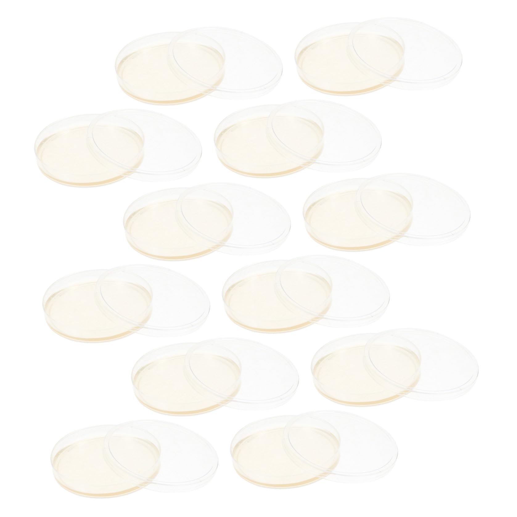 CLISPEED Placas de Agar Nutritivo para Laboratorio de 9 CM, 20 Placas de Petri de Plástico Estériles Tapa para Cultivo de Hongos y Experimentos Científicos
