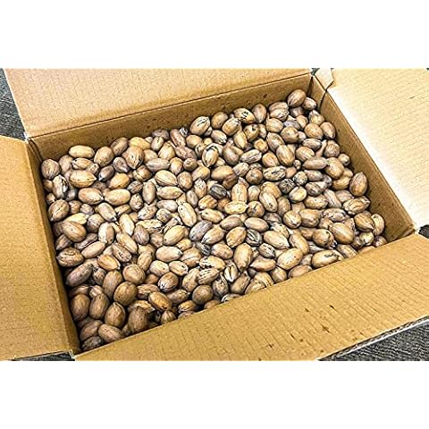 20 lbs - Texas Squirrel Pecans Inshell | Pecans.com DO NOT ORDER IF FROM CALIFORNIA OR ARIZONA Cover