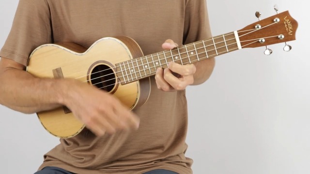 Amazon.com: Lanikai CDST-CET 4- String Ukulele Cedar Solid Top