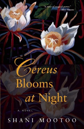 Cereus Blooms at Night