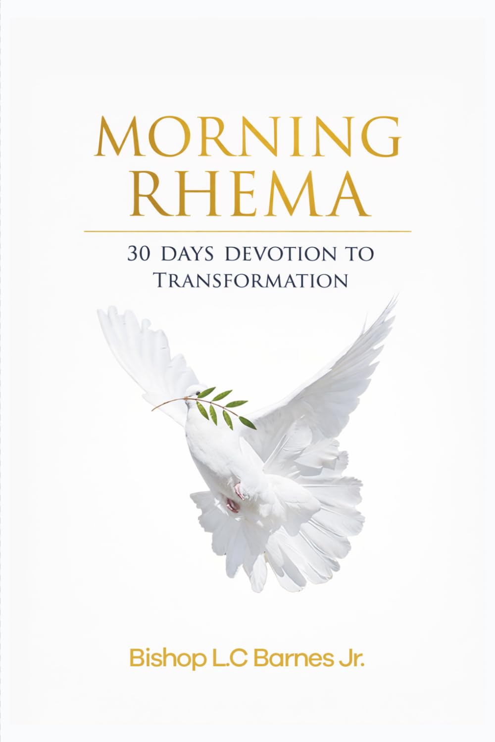 MORNING RHEMA 1: 30 DAYS DEVOTION TO TRANSFORMATION