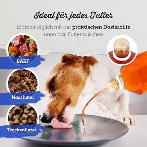 NordicVital Premium Lachsöl Hunde & Katzen 1000ml – 100% Natürliches Fischöl/Fish Oil aus Norwegen Lachs – Reich an Omega 3 & 6 Fettsäuren hochdosiert – Barf Öl abgefüllt in Deutschland