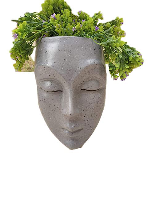 RV's Garden Face Planter Wall Hanging for Home,Garden, Home Decor Grey