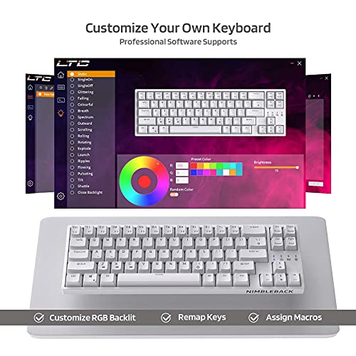 Image of LTC NB681 Nimbleback Wired 65% Mechanical Keyboard, RGB Backlit Ultra-Compact 68 Keys Gaming Keyboard with Hot-Swappable Switch and Stand-Alone Arrow /Control Keys (Hot Swappable Brown Switch, White)