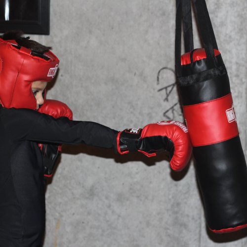 Image of Ringside Kids Boxing Set (2-5 Year Old), Assortment with Punching Bag, Boxing Gloves, and Headgear for Boxing, MMA, Muay Thai, and Kickboxing, Youth Sports Toy Set for Boys and Girls, Pink