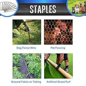 Extreme dog fence  100 pack of landscaping staples for easy above ground installation of your electric dog fence   cucciolini doodles