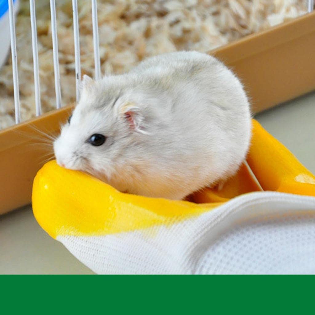 See full amazon price history chart for Furbabies Protective Gloves Bite-Proof for Hamster Bite - Blue Zebra-Stripe Furbabies Protective Gloves Bite-Proof for Hamster Bite - Blue Zebra-Stripe (B09J8FDN3W) Amazon Price History, Amazon Price Tracker