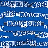 Fan-Kultur Xperience