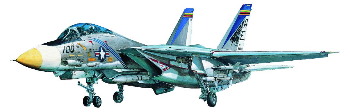 Amazon.co.jp: 童友社 1/72 凄!プラモデル No.6 アメリカ海軍 F-14A