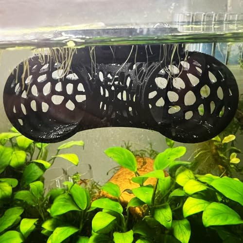 Image of Floating Betta Tunnel for Betta Training. Interactive Training & Enrichment Toy for Betta Fish - Stress Relief & Exercise Accessory, Floating Betta Fish Toys