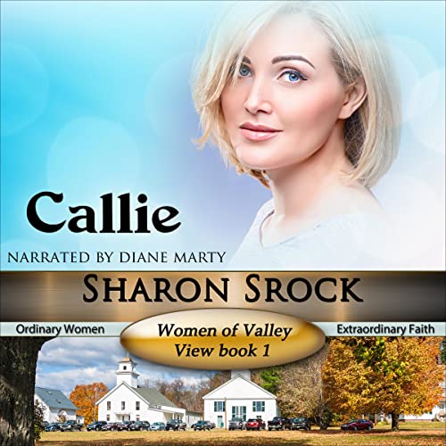 Terri Women of Valley View, Book 2 (Audible Audio Edition